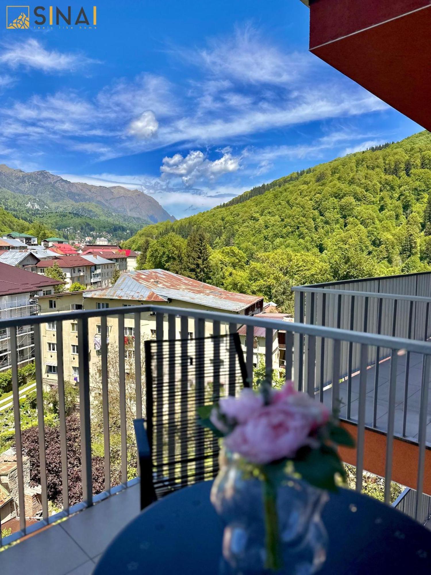 Sinai Aph * Sinaia